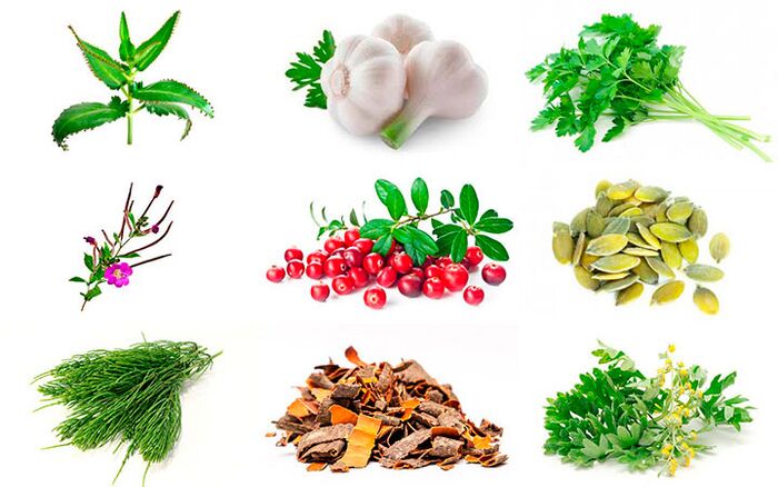 простатитті емдеуге арналған халықтық дәрі-дәрмектер